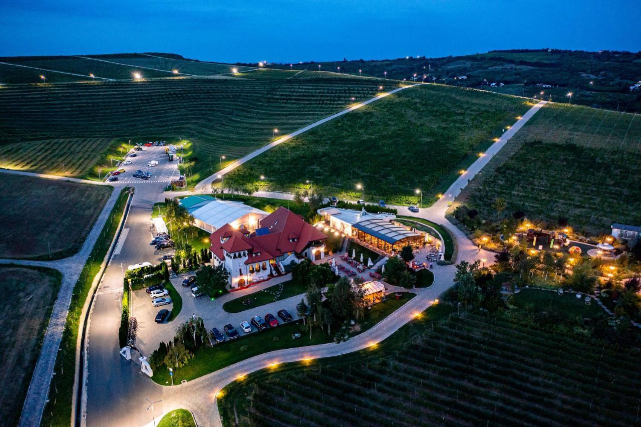 Casa Timis - Wellness & Spa Resort Chitorani Eksteriør bilde Aerial view of the winery