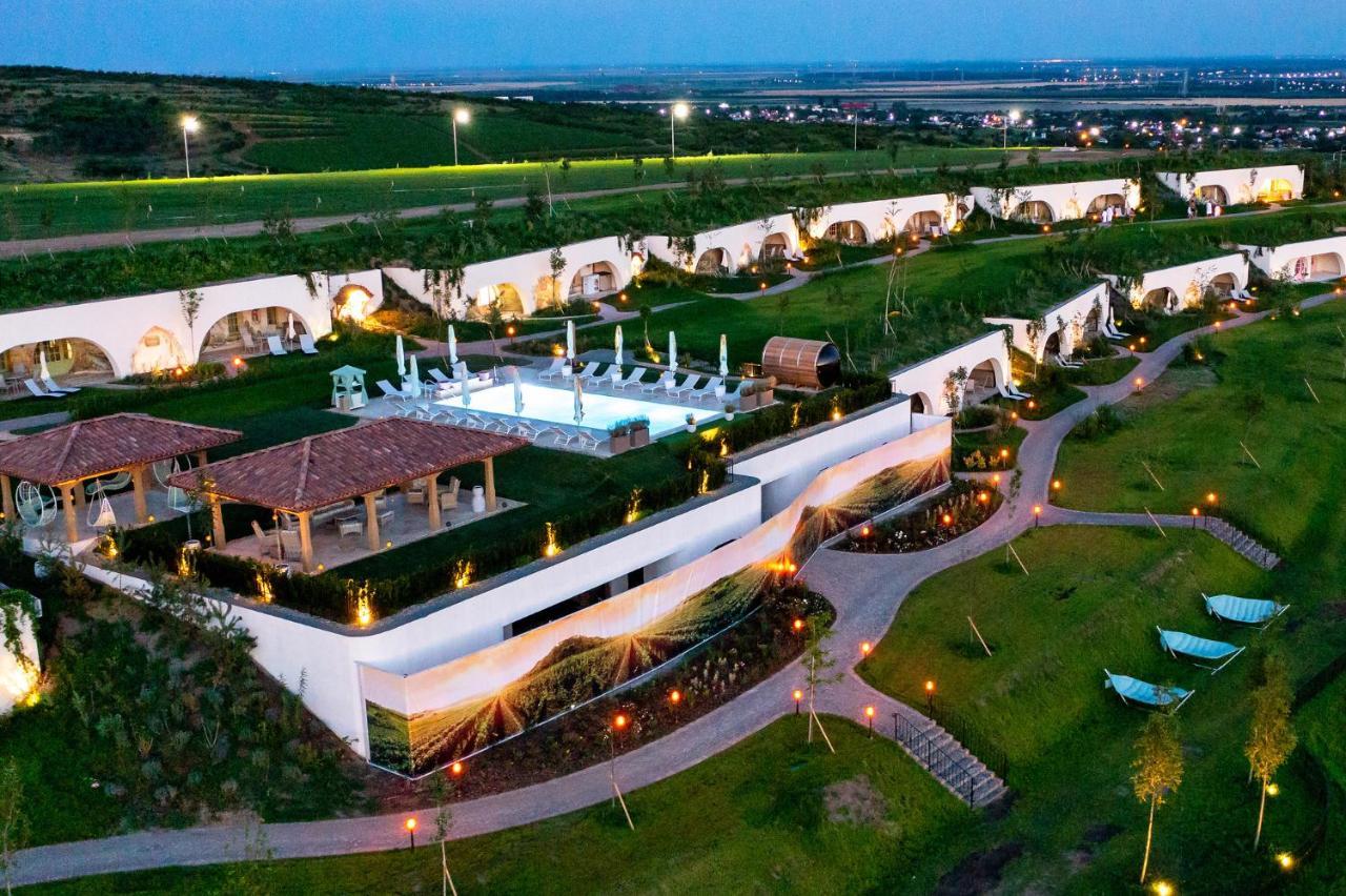 Casa Timis - Wellness & Spa Resort Chitorani Eksteriør bilde Aerial view of the resort